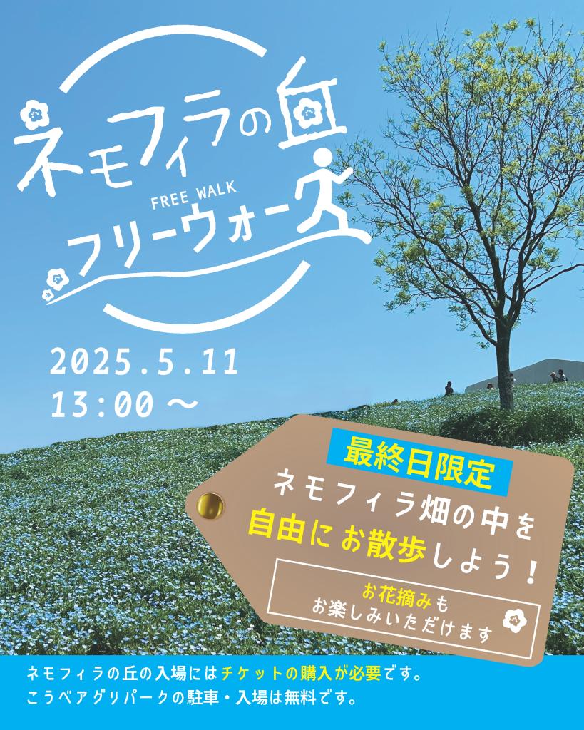 画像に alt 属性が指定されていません。ファイル名: %E3%83%8D%E3%83%A2%E3%83%95%E3%82%A3%E3%83%A9%E3%83%95%E3%83%AA%E3%83%BC%E3%82%A6%E3%82%A9%E3%83%BC%E3%82%AF-HP%E7%94%A8-819x1024.png