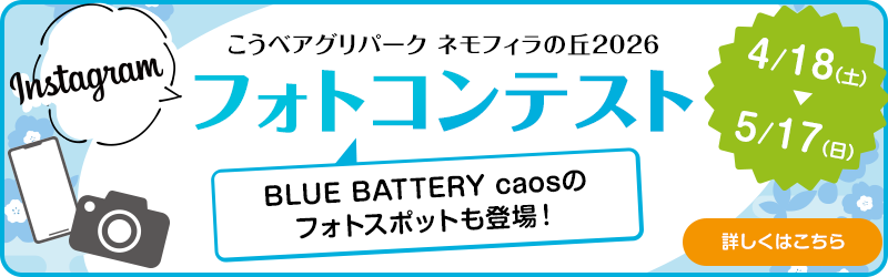 フォトコンテスト
