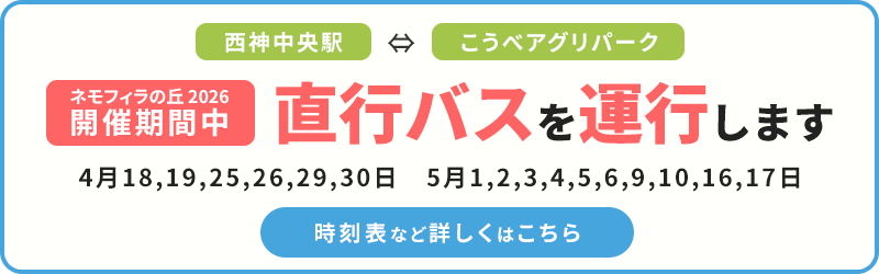 直行バスを運行します
