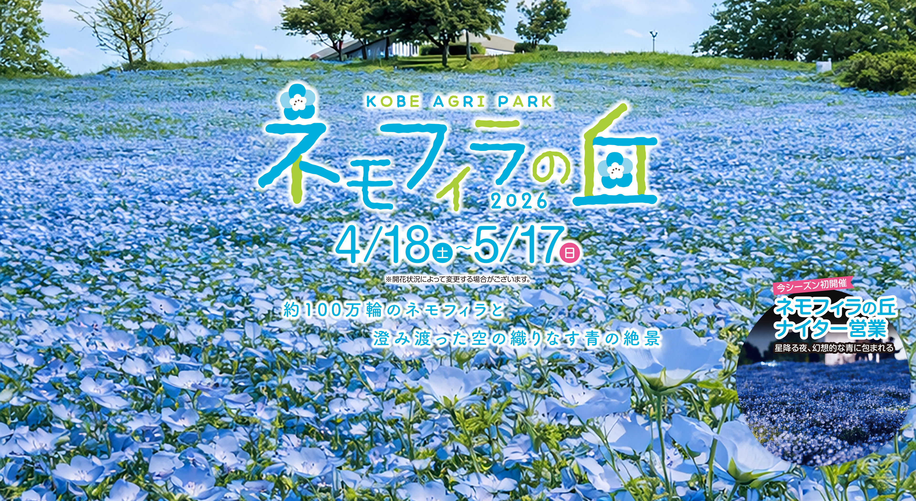ネモフィラの丘2026